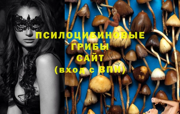 шишки Майский