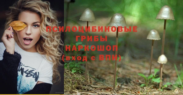твердый Магас