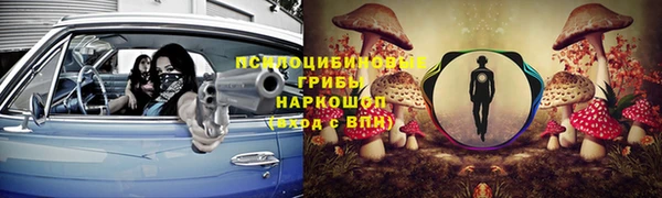 твердый Магас