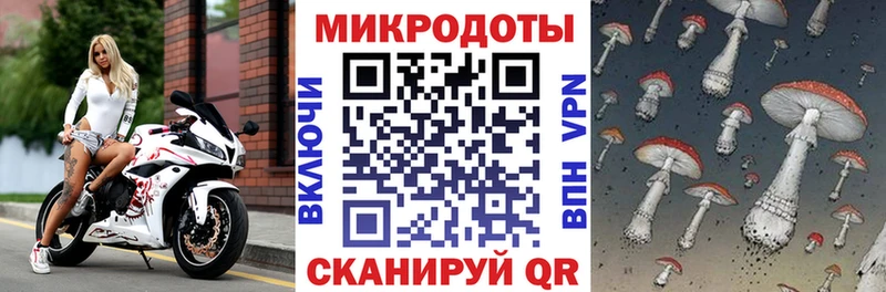 Псилоцибиновые грибы Cubensis  Лахденпохья 
