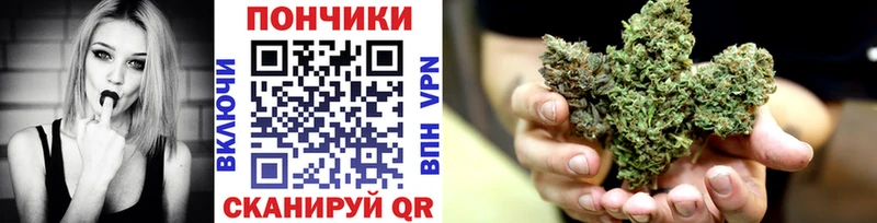 Бошки марихуана индика  Лахденпохья 
